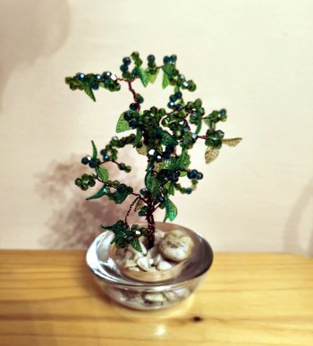 Stromčeky šťastia 2025